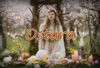 Ostara: il sabbat della rinascita e dell’equilibrio