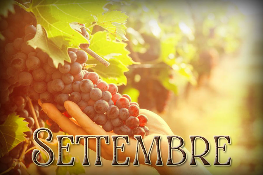 Settembre: il mese delle soglie e del ritorno all’essenza