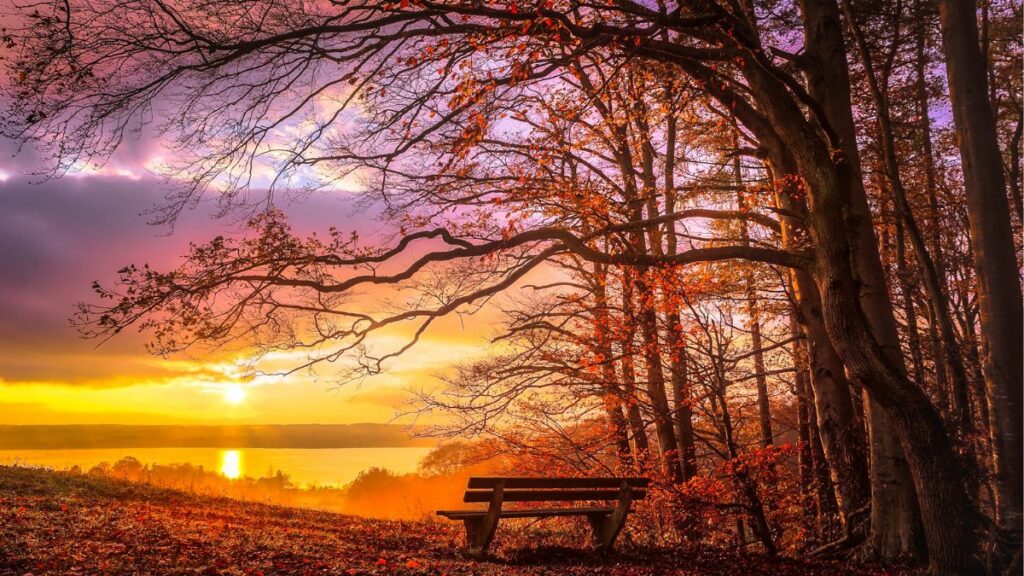 Novembre: Il significato spirituale tra trasformazione, memoria e rinascita