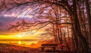 Novembre: Il significato spirituale tra trasformazione, memoria e rinascita