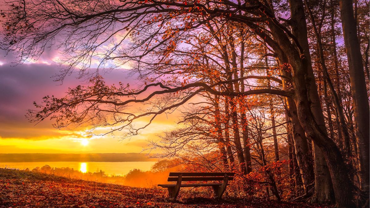 Novembre: Il significato spirituale tra trasformazione, memoria e rinascita