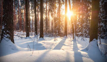 Dicembre e Yule: la luce che rinasce nel cuore dell’inverno