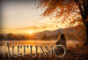 Il significato spirituale dell’autunno: lasciare andare e trasformarsi interiormente